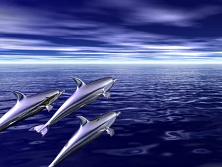 Meubelstickers dolfijnen © Serp