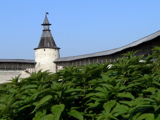nettles