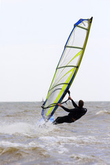 windsurfer