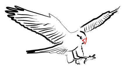 falcon