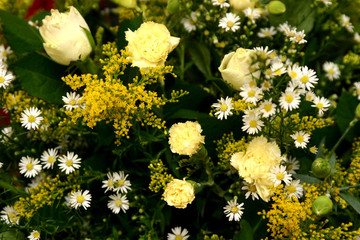 bouquet de fleurs