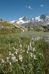 lac lérié et glaciers de la meije