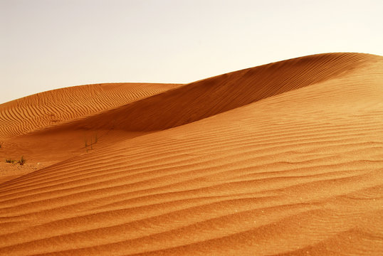 desert