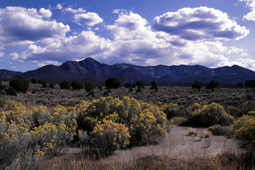 southwestern landscape