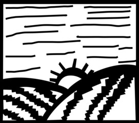 morning field landscape