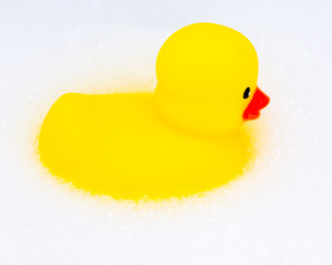 rubber ducky