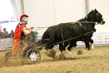 roman chariot racing