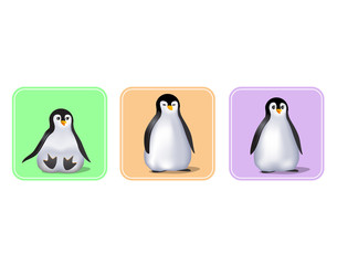 baby penguins illustration