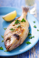 mediterranean fish