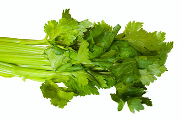 celery tops