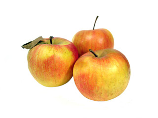Fototapeta na wymiar three yellow and red apples over white background