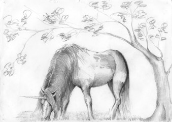 horses, animals, illustrations