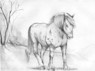 horses, animals, illustrations,