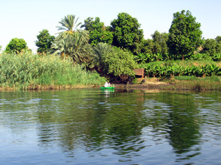 paysage des rives du nil