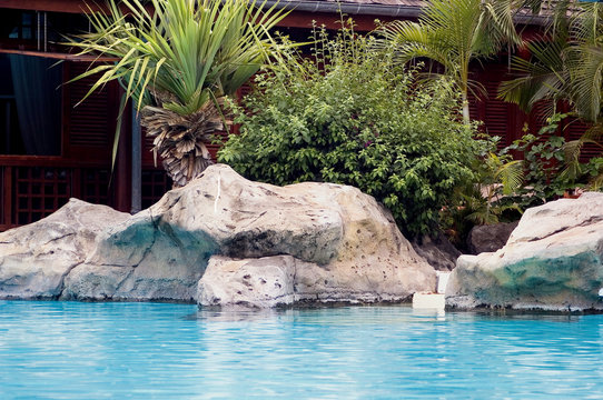 piscine rochers et palmiers