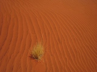 sand
