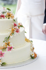 Obraz na płótnie Canvas tort weselny, a para