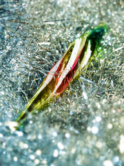 coloured icicle