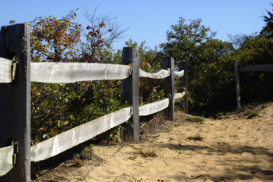 trail to the beach