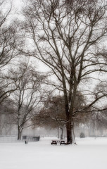 Fototapeta premium winter landscape