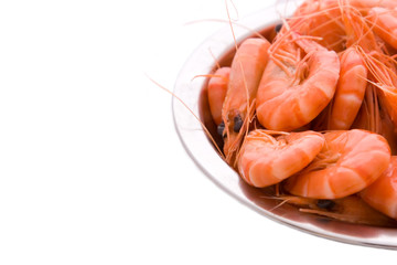 prawns