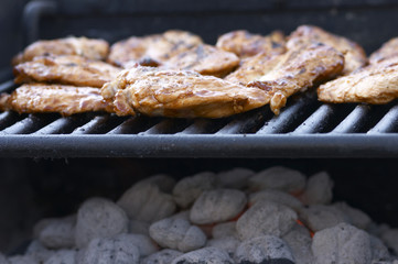chicken