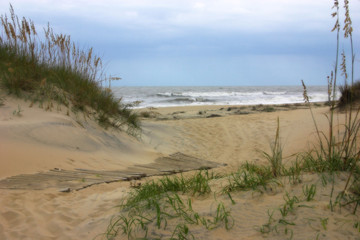 sand dunes and sea grass