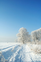 winter