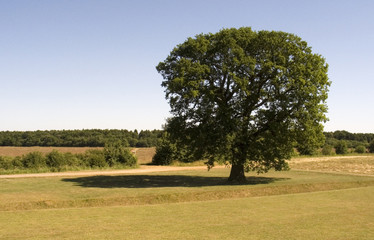 tree lyveden northamptonshire england