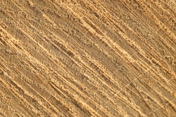 wood background