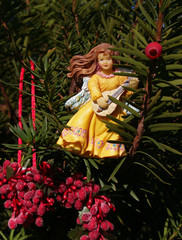 "christmas":  angel with lute ornament and berries