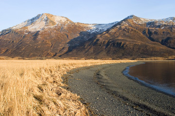 kodiak beach in the winter