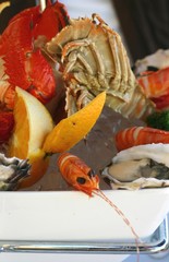 seafood