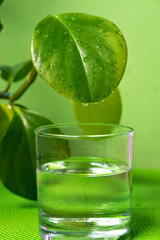 collecting essence