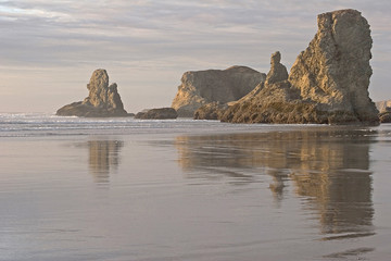 oregon coast #8