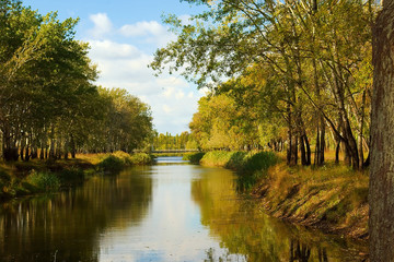 Fototapeta premium golden lake and bridge in a poplar park