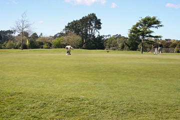 Obraz premium golf players on green