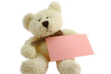 teddy bear