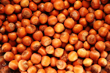 hazelnuts arranged as a background