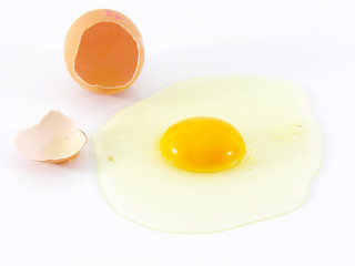 oeuf cassé