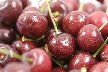 ripe cherries