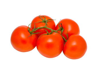 tomatoes