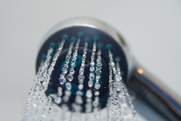 shower head
