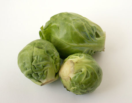 cabbage