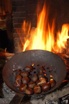 chaud marrons