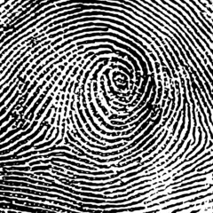 fingerprint14crop4