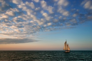 into the wind © Varina MacFarland