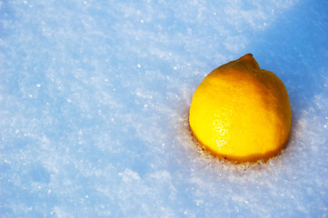 lemon omitted in snow