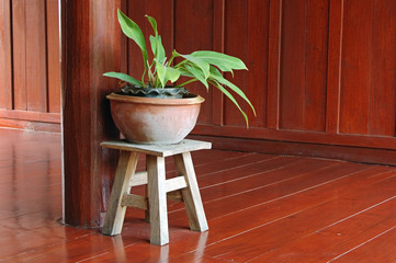 plant stool