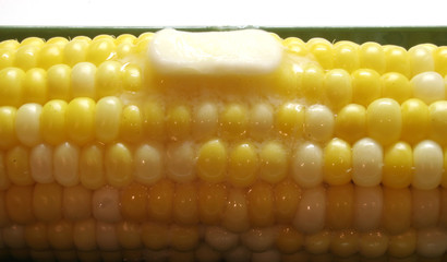 corn 2